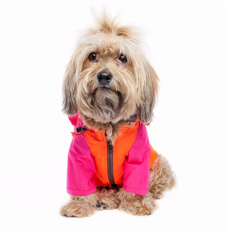 Coats, Jackets + Outwear |   Nylon Colorblock Dog Rainbreaker In Neon Pink + Orange (Exclusive To Dog & Co.) Coats, Jackets + Outwear Coats, Jackets + Outwear