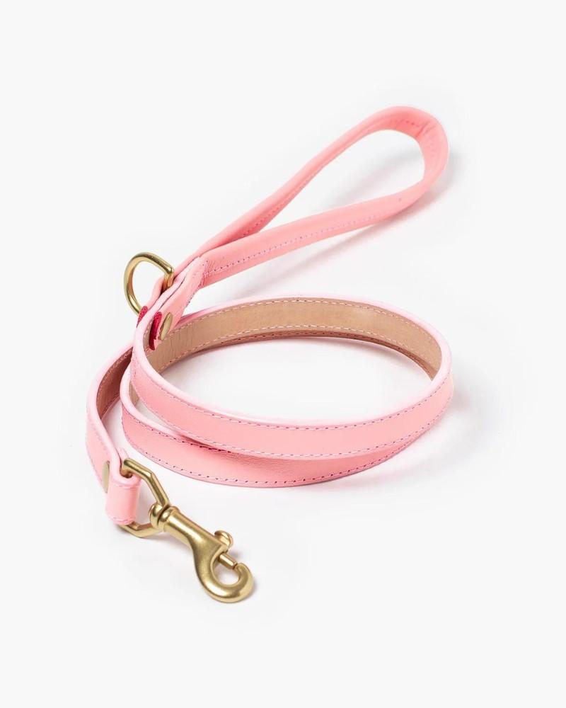 Leads |   Sweet Leather Dog Leash (Made In Guatemala) Leads Leads